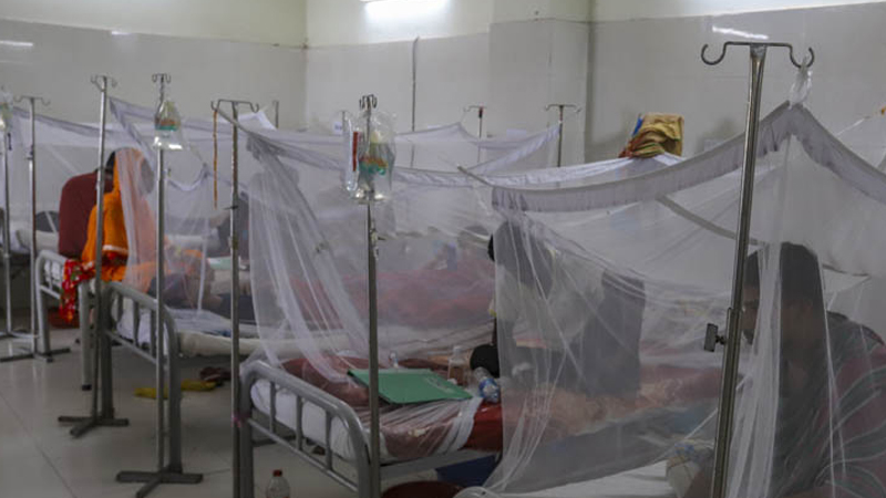 ডেঙ্গুতে নতুন করে হাসপাতালে ৫১০ জন ভর্তি